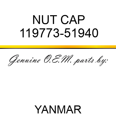 NUT, CAP 119773-51940