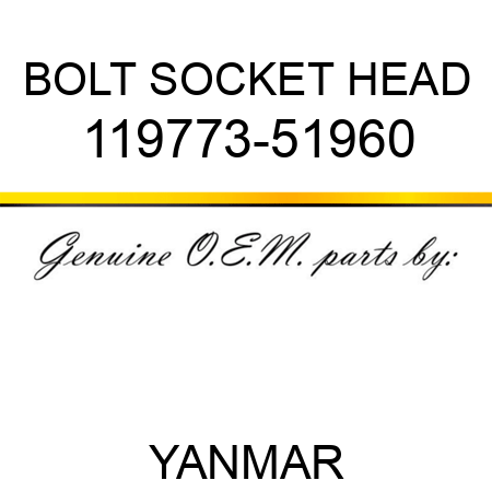 BOLT, SOCKET HEAD 119773-51960