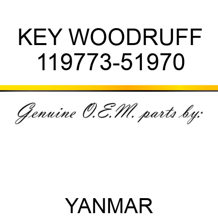 KEY, WOODRUFF 119773-51970