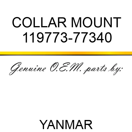 COLLAR, MOUNT 119773-77340