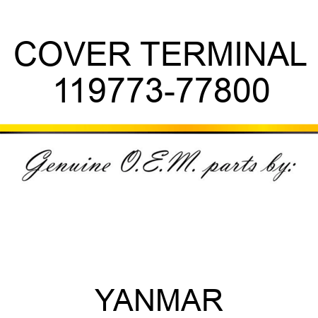 COVER, TERMINAL 119773-77800