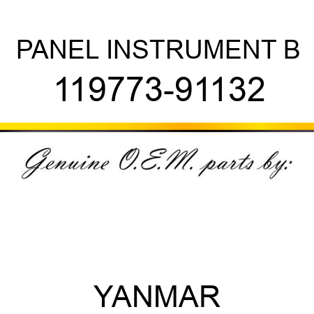 PANEL, INSTRUMENT B 119773-91132