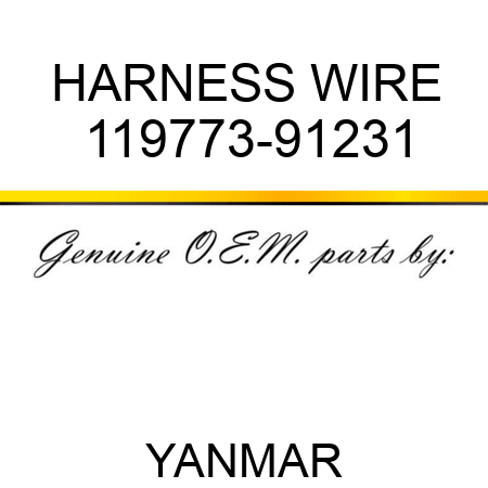 HARNESS, WIRE 119773-91231