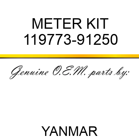 METER KIT 119773-91250