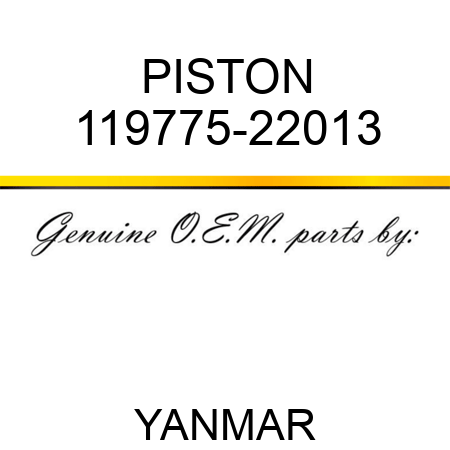 PISTON 119775-22013
