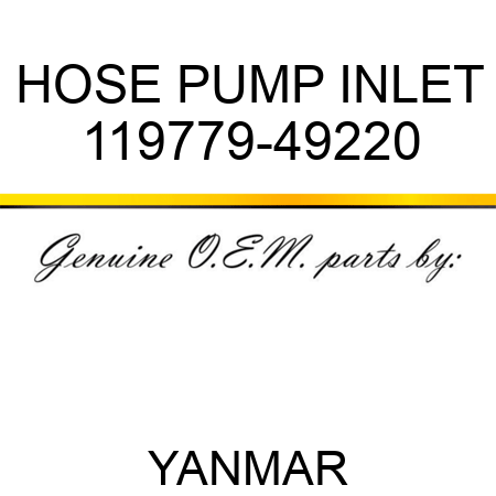 HOSE, PUMP INLET 119779-49220