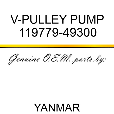V-PULLEY, PUMP 119779-49300