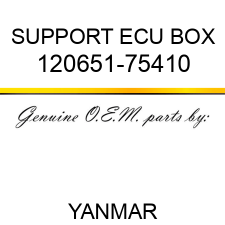 SUPPORT, ECU BOX 120651-75410