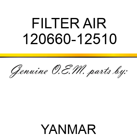 FILTER, AIR 120660-12510