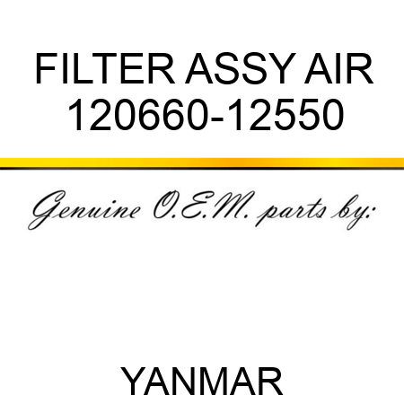 FILTER ASSY, AIR 120660-12550