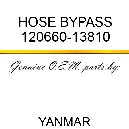 HOSE, BYPASS 120660-13810