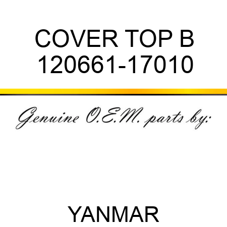 COVER, TOP B 120661-17010