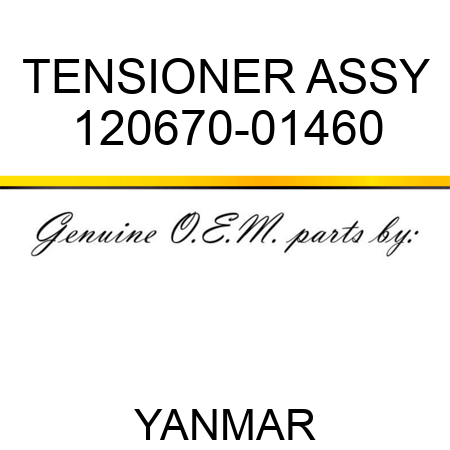 TENSIONER ASSY 120670-01460
