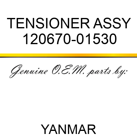 TENSIONER ASSY 120670-01530