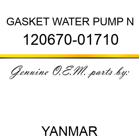 GASKET, WATER PUMP N 120670-01710