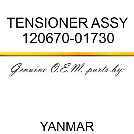 TENSIONER ASSY 120670-01730