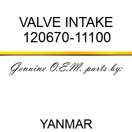 VALVE, INTAKE 120670-11100