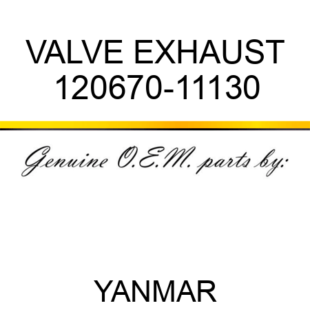 VALVE, EXHAUST 120670-11130