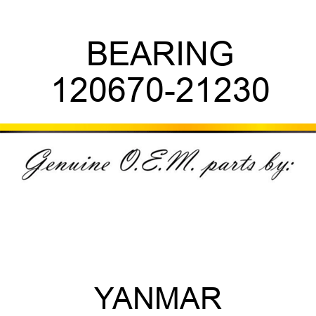 BEARING 120670-21230