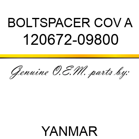 BOLT,SPACER COV A 120672-09800