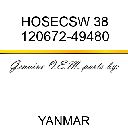 HOSE,CSW 38 120672-49480
