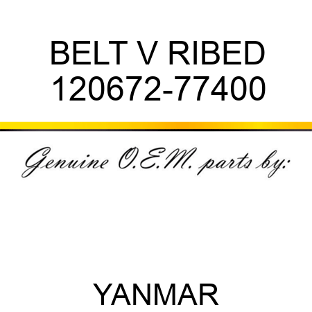 BELT, V RIBED 120672-77400