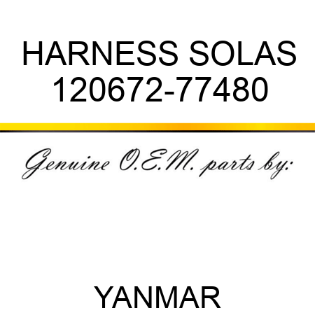 HARNESS, SOLAS 120672-77480