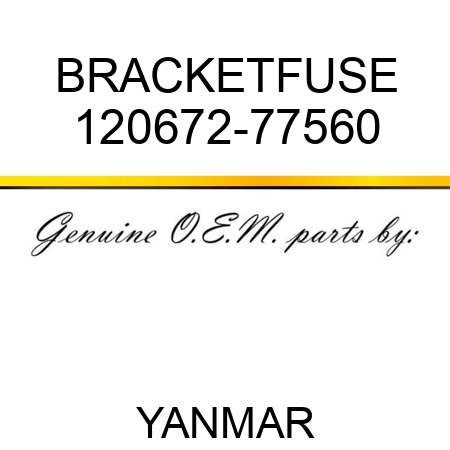 BRACKET,FUSE 120672-77560