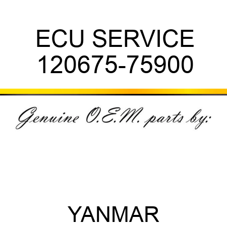 ECU, SERVICE 120675-75900