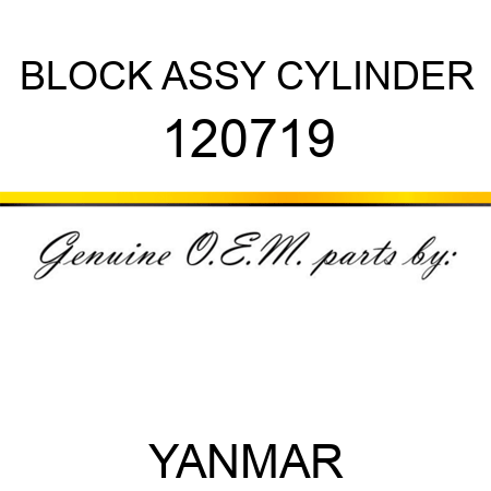 BLOCK ASSY, CYLINDER 120719
