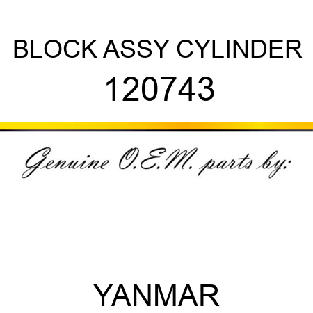BLOCK ASSY, CYLINDER 120743