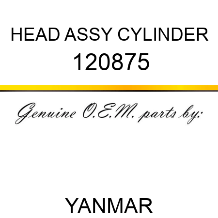HEAD ASSY, CYLINDER 120875