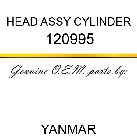 HEAD ASSY, CYLINDER 120995