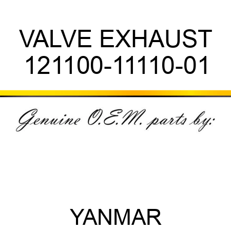 VALVE, EXHAUST 121100-11110-01