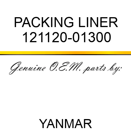PACKING, LINER 121120-01300