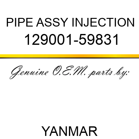 PIPE ASSY, INJECTION 129001-59831