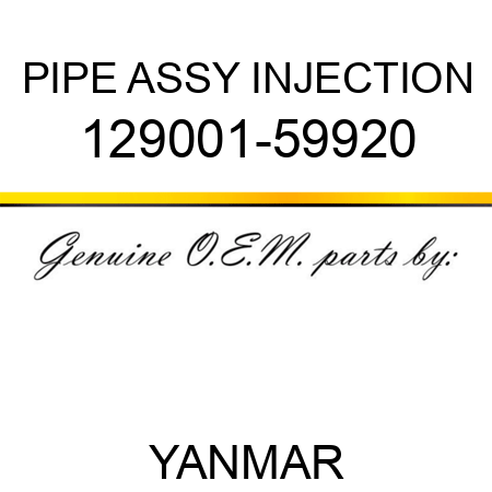 PIPE ASSY, INJECTION 129001-59920