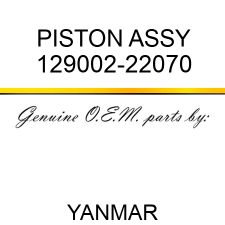 PISTON ASSY 129002-22070