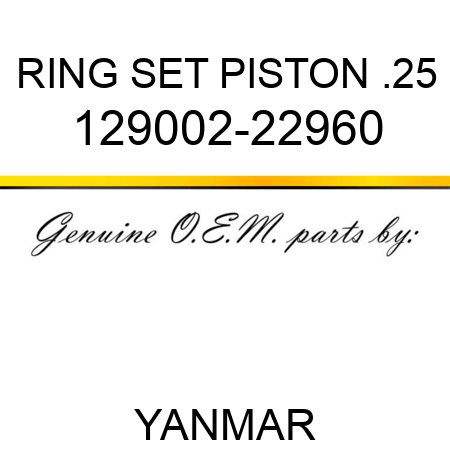 RING SET, PISTON .25 129002-22960