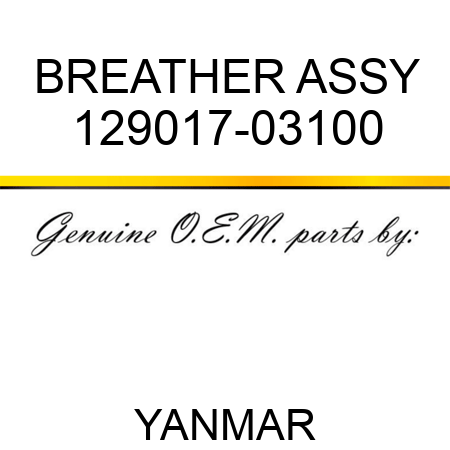 BREATHER ASSY 129017-03100