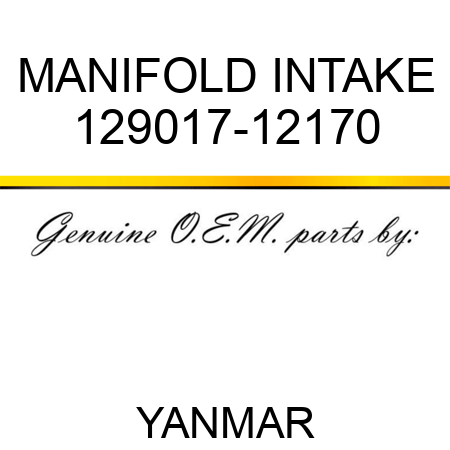 MANIFOLD, INTAKE 129017-12170