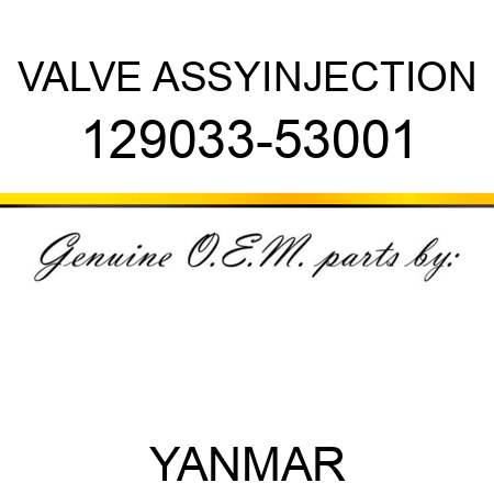 VALVE ASSY,INJECTION 129033-53001