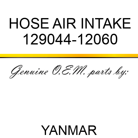 HOSE, AIR INTAKE 129044-12060