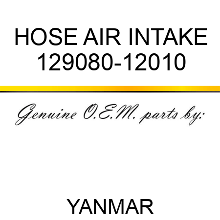 HOSE, AIR INTAKE 129080-12010