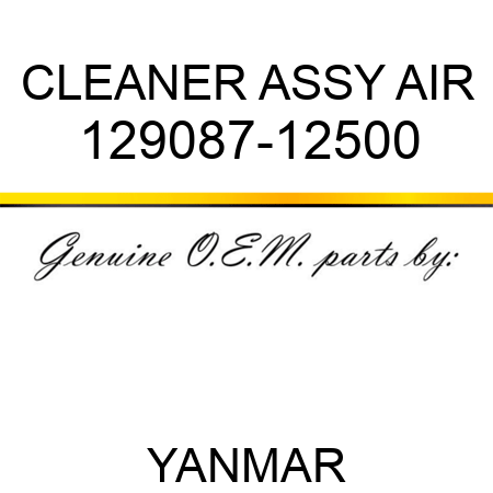 CLEANER ASSY, AIR 129087-12500