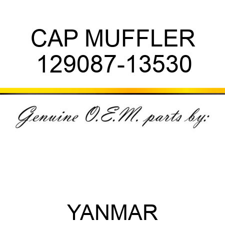 CAP, MUFFLER 129087-13530