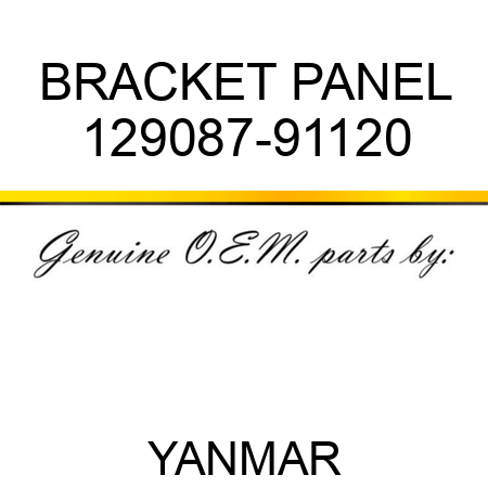 BRACKET PANEL 129087-91120