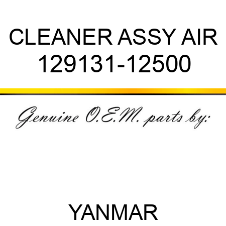 CLEANER ASSY, AIR 129131-12500