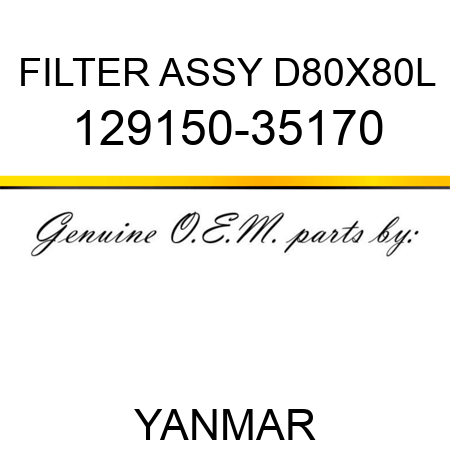 FILTER ASSY, D80X80L 129150-35170