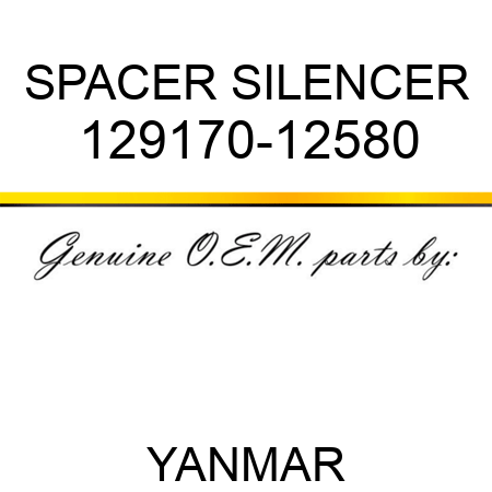 SPACER, SILENCER 129170-12580